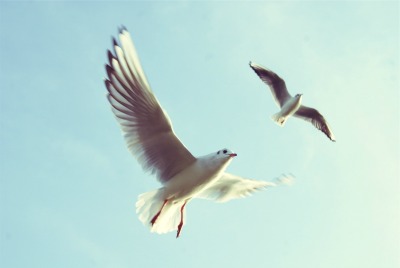 unsplash.com