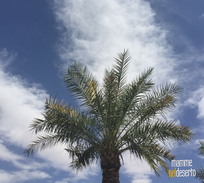 riyadh blue sky
