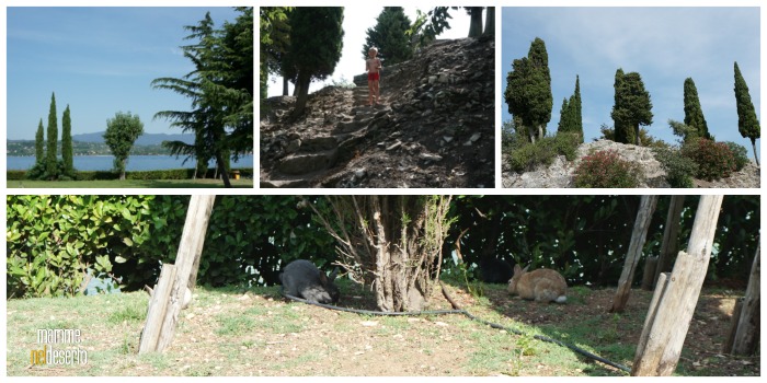 Isola dei conigli lago di Garda