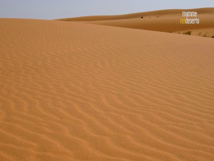 desert saudi